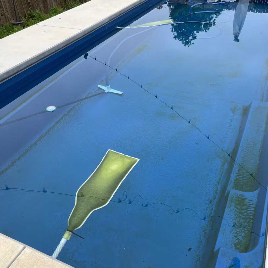 Algae fltered from an in ground pool by using two Aquabags.