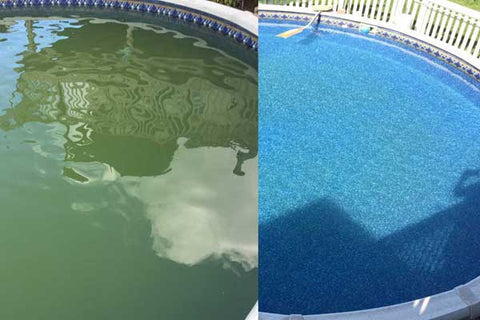 Before Greenish Brown Water After Crystal Clear