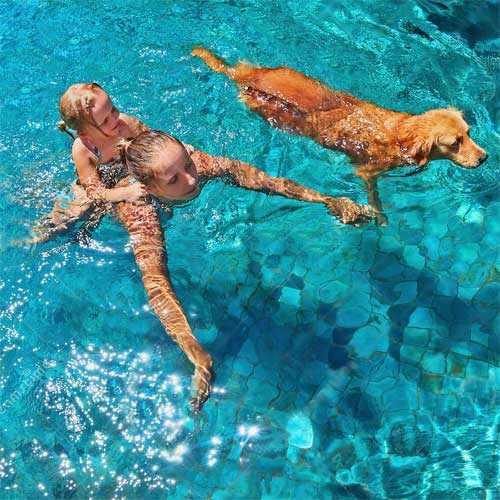 Woman, child and dog swimming in a pool